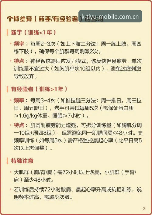 K体育更新内容使用技巧：新手vs老手的全面对比与实用指南